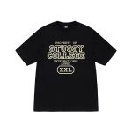 Propriété DE Stussy T Shirt