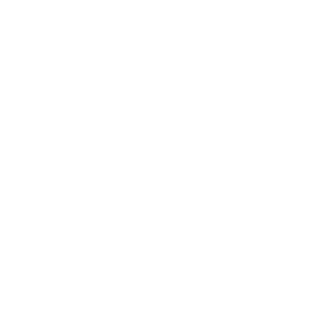 stussy-logo-footer