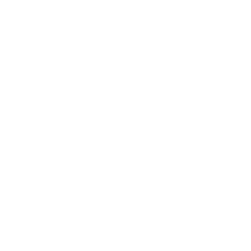 Stussy