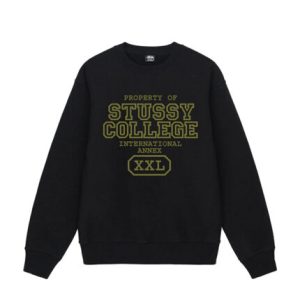 Sweatshirt International Stussy